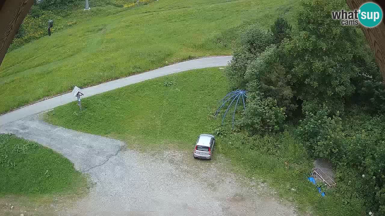 Smučišče Zoncolan – Goles