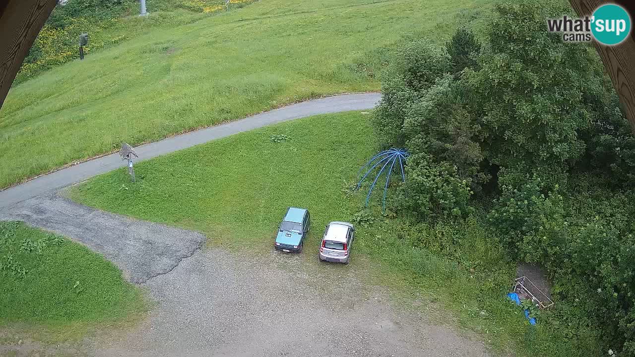 Smučišče Zoncolan – Goles