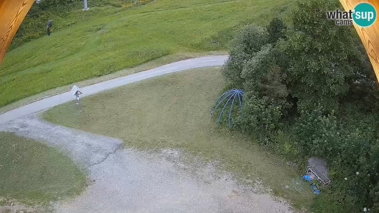 Smučišče Zoncolan – Goles
