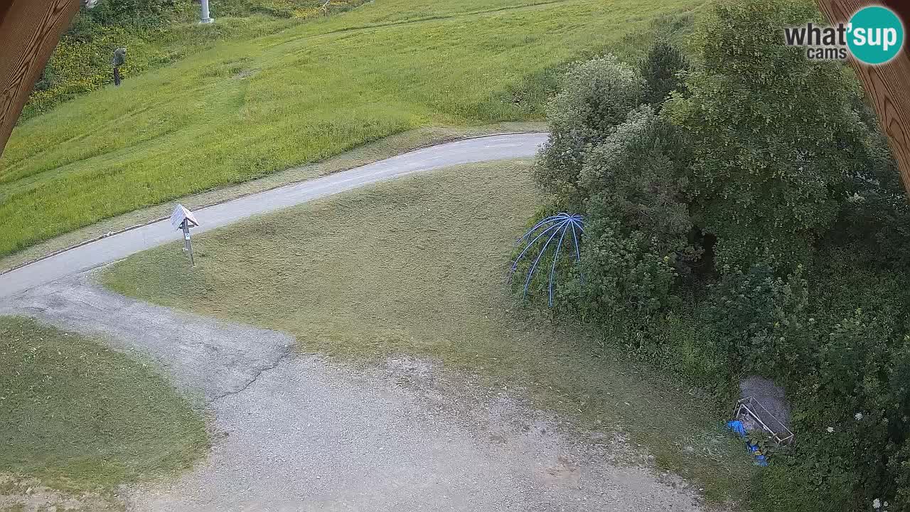 Smučišče Zoncolan – Goles