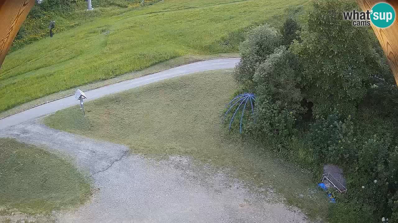 Smučišče Zoncolan – Goles
