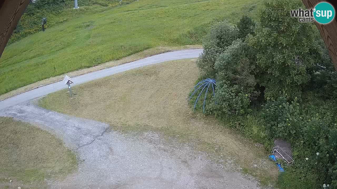 Smučišče Zoncolan – Goles