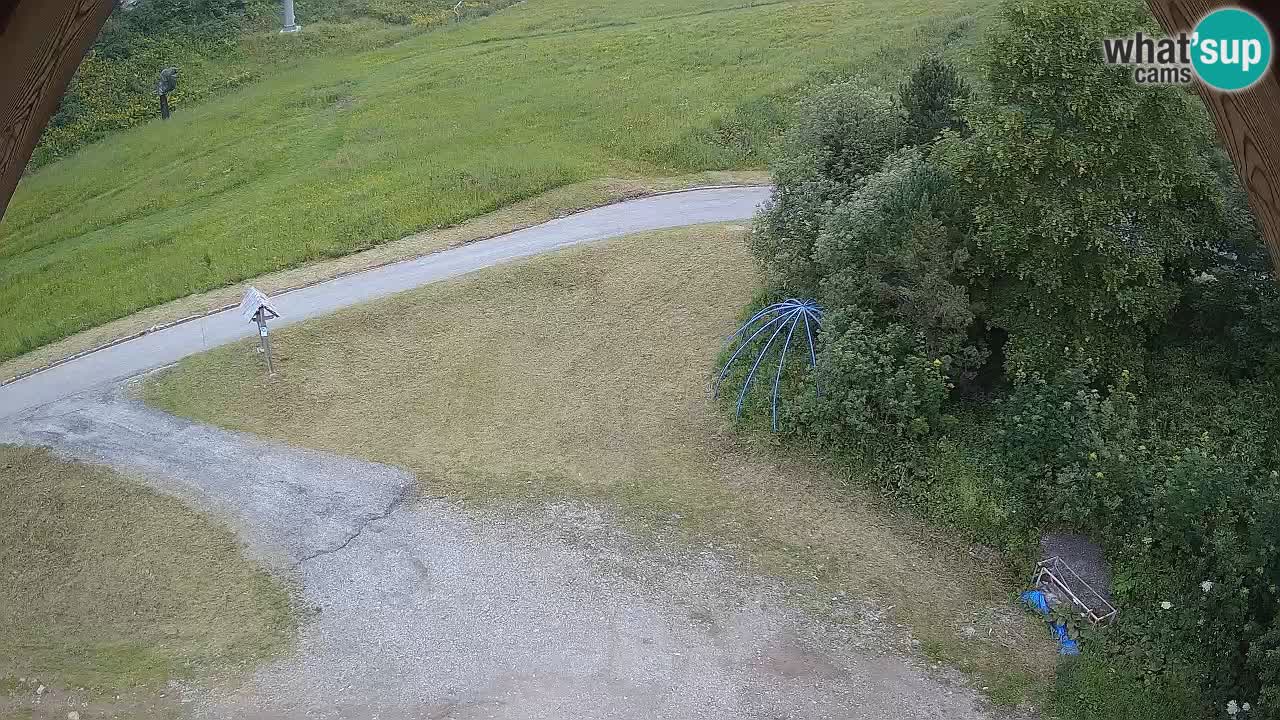 Smučišče Zoncolan – Goles