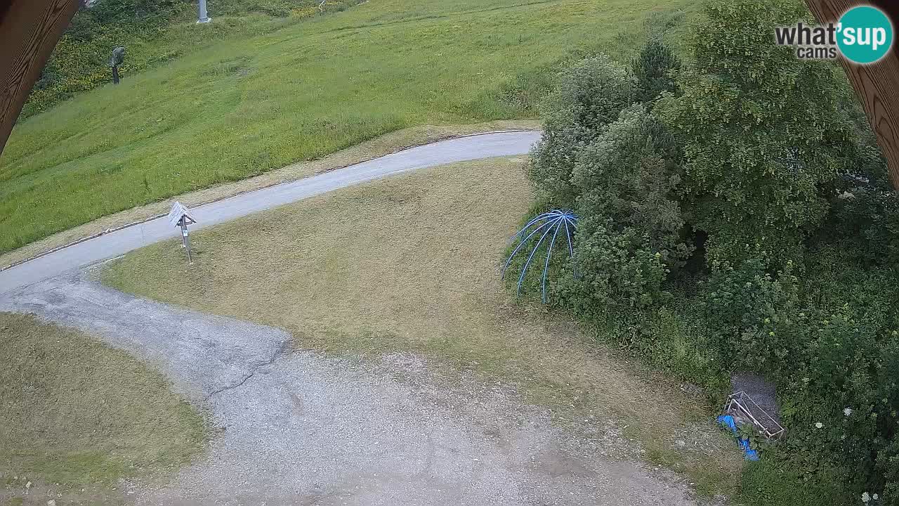 Smučišče Zoncolan – Goles