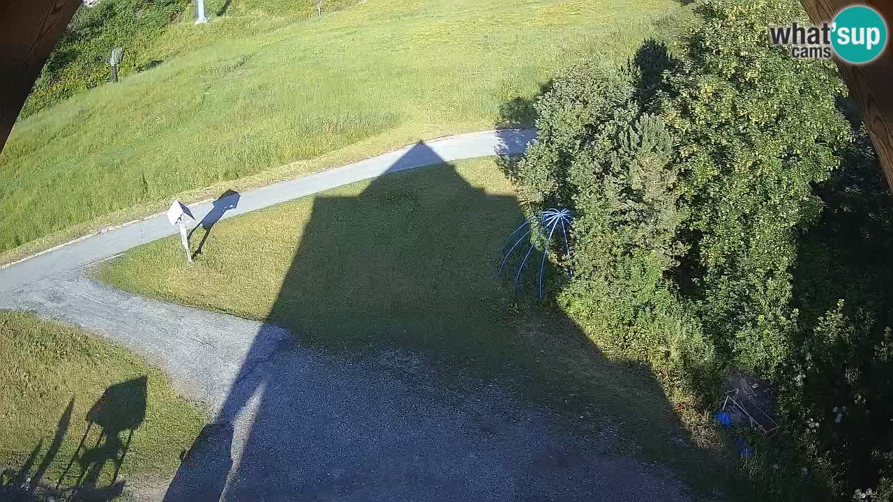 Smučišče Zoncolan – Goles