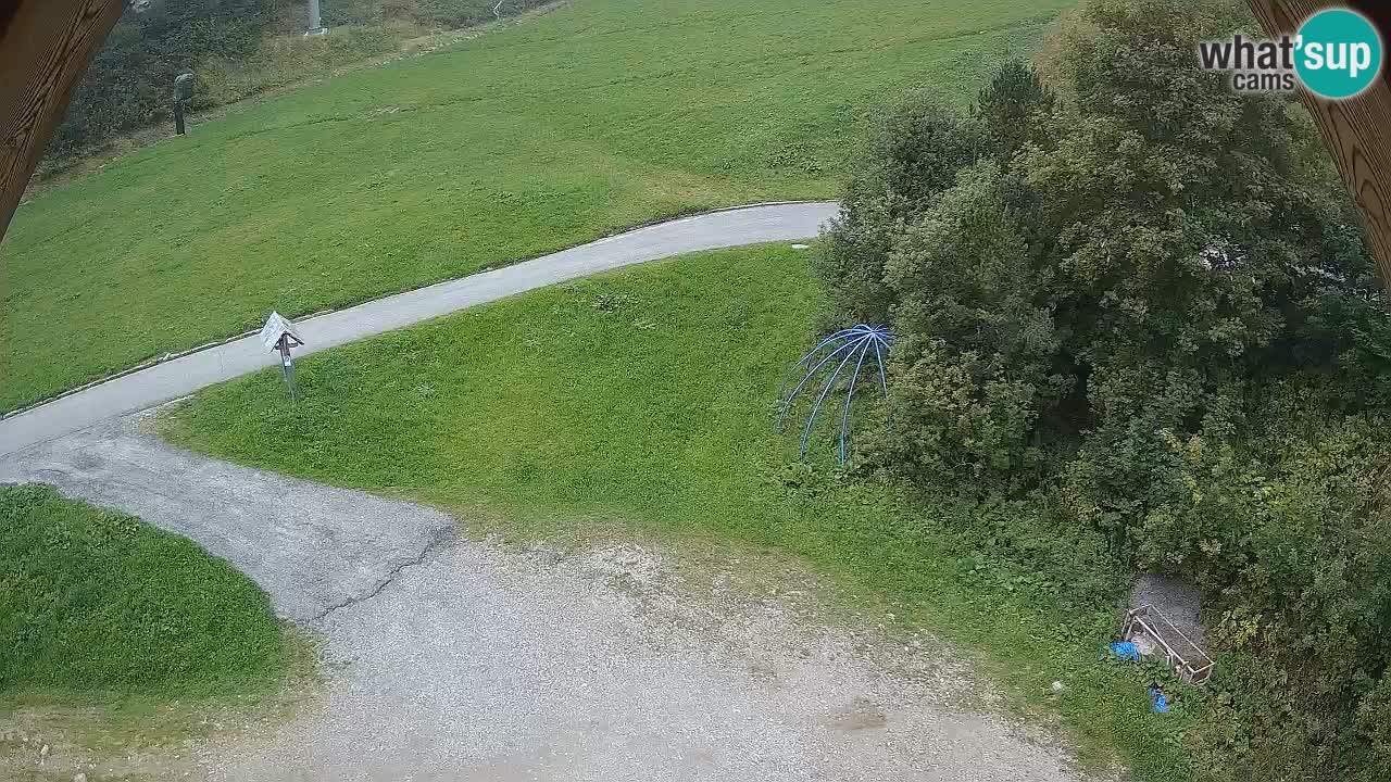 Stazione sciistica Zoncolan – Goles