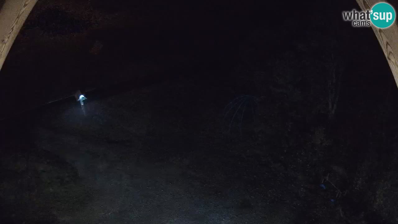 Estacion esqui Zoncolan – Goles