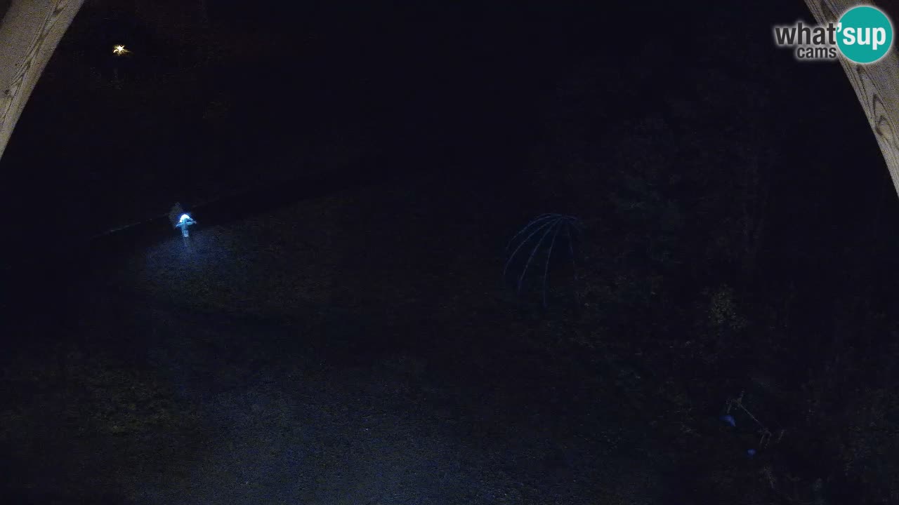 Stazione sciistica Zoncolan – Goles