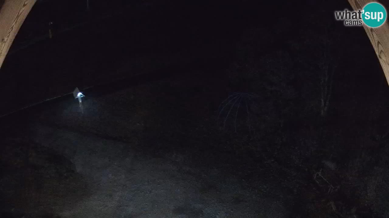 Smučišče Zoncolan – Goles