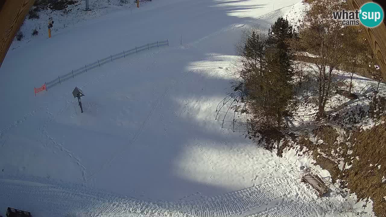 Skigebiet Zoncolan – Goles