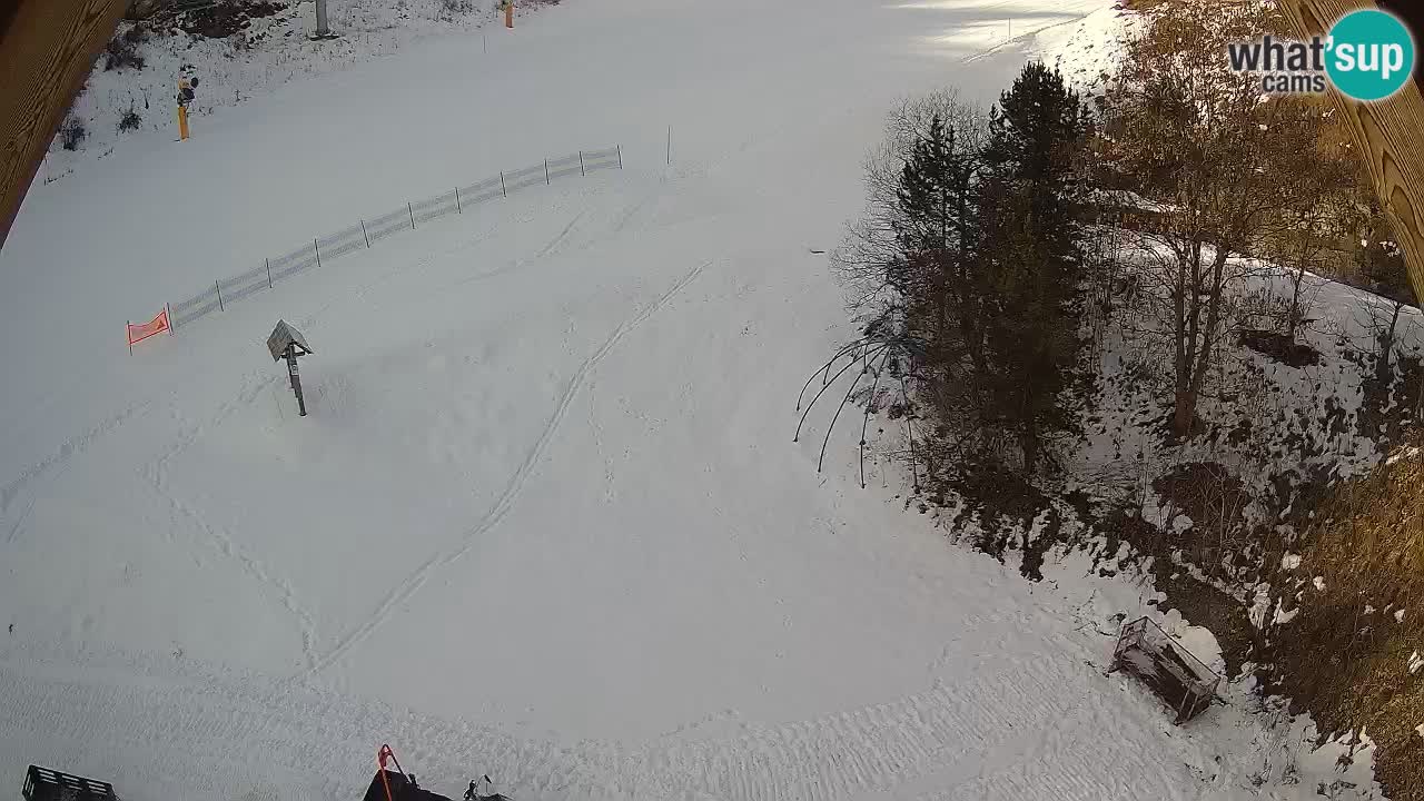 Estacion esqui Zoncolan – Goles