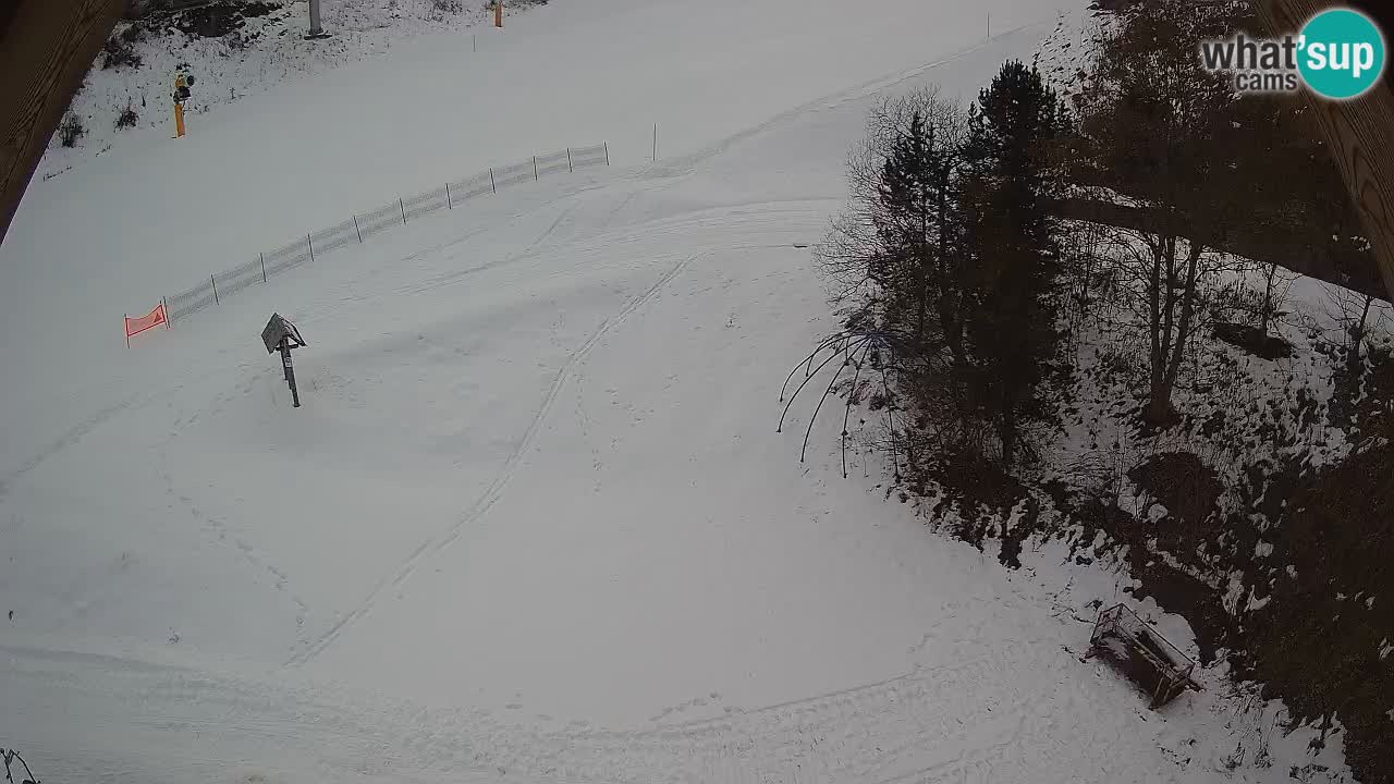 Ski resort Zoncolan mountain – Goles