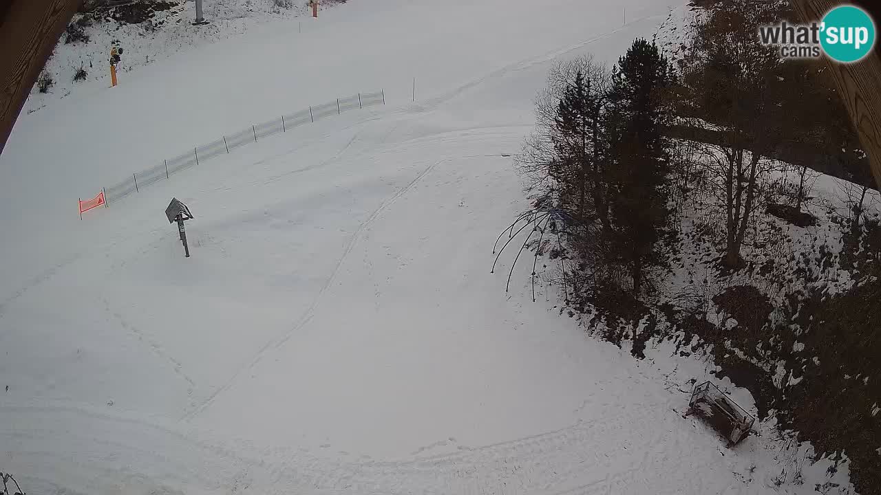 Station ski Zoncolan – Goles