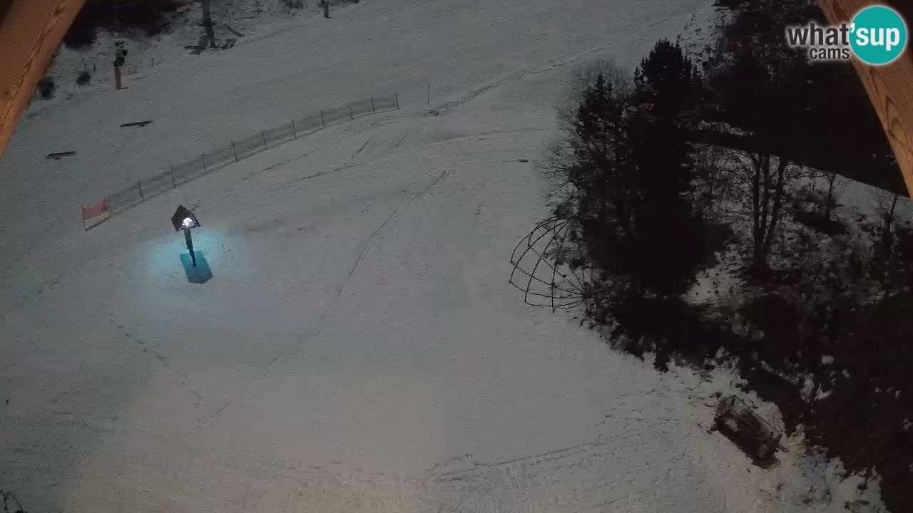 Stazione sciistica Zoncolan – Goles