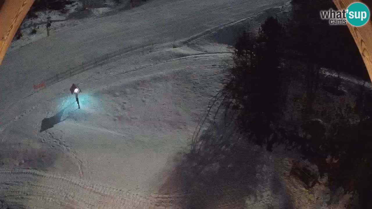 Estacion esqui Zoncolan – Goles