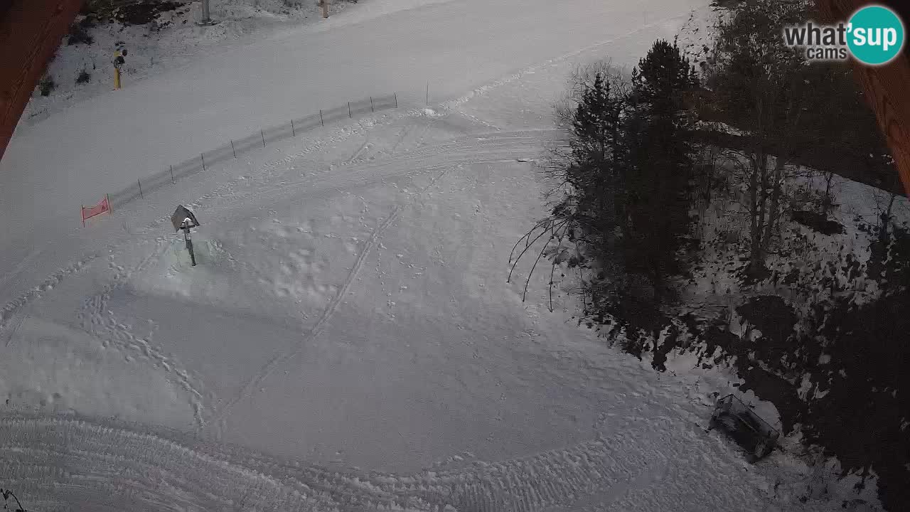 Smučišče Zoncolan – Goles