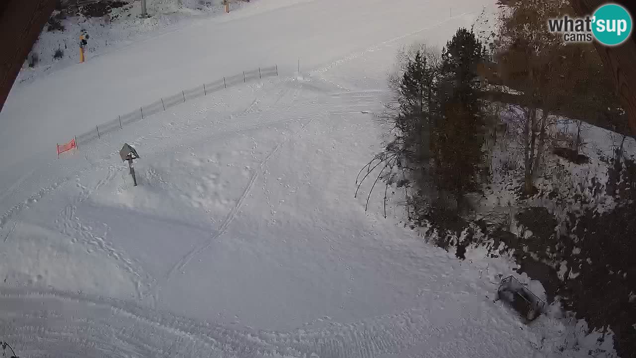 Ski resort Zoncolan mountain – Goles