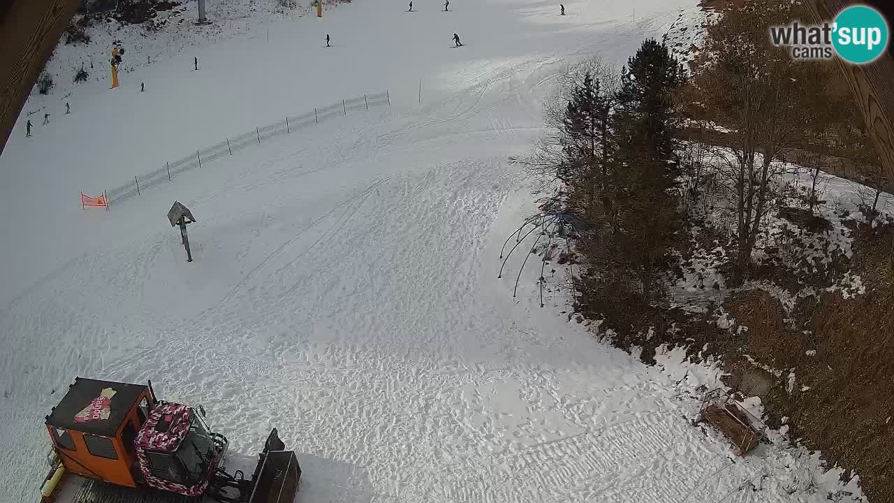 Smučišče Zoncolan – Goles