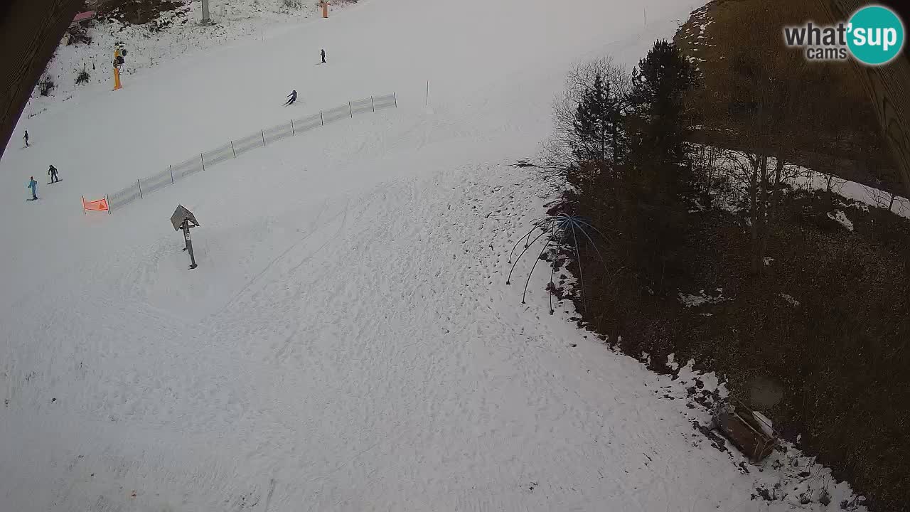 Ski resort Zoncolan mountain – Goles