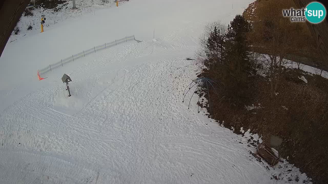 Smučišče Zoncolan – Goles