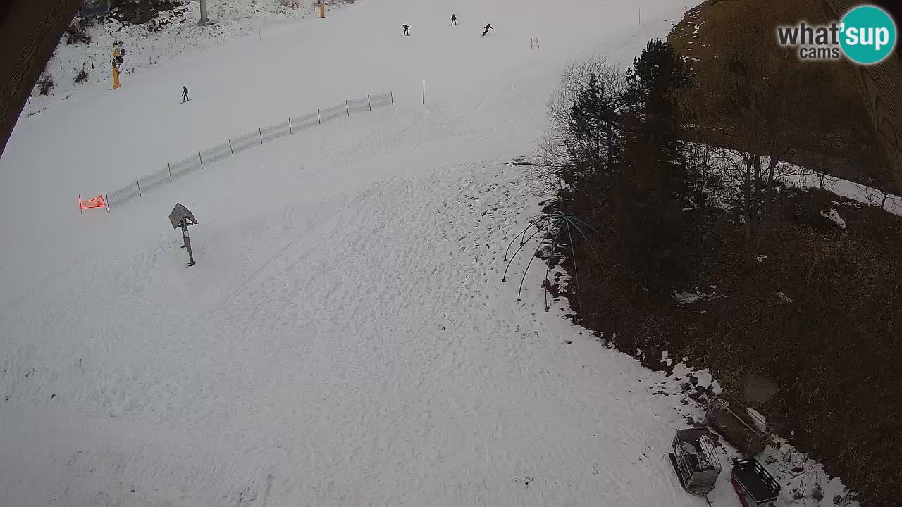 Stazione sciistica Zoncolan – Goles