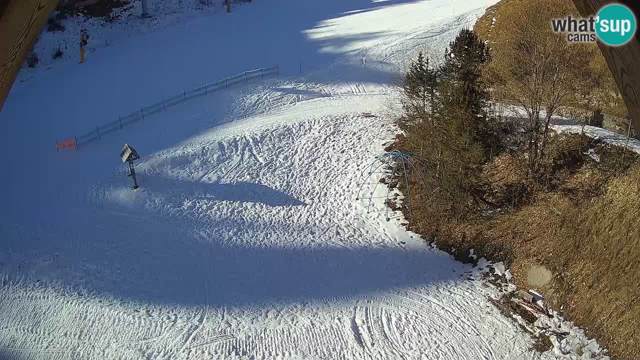 Stazione sciistica Zoncolan – Goles