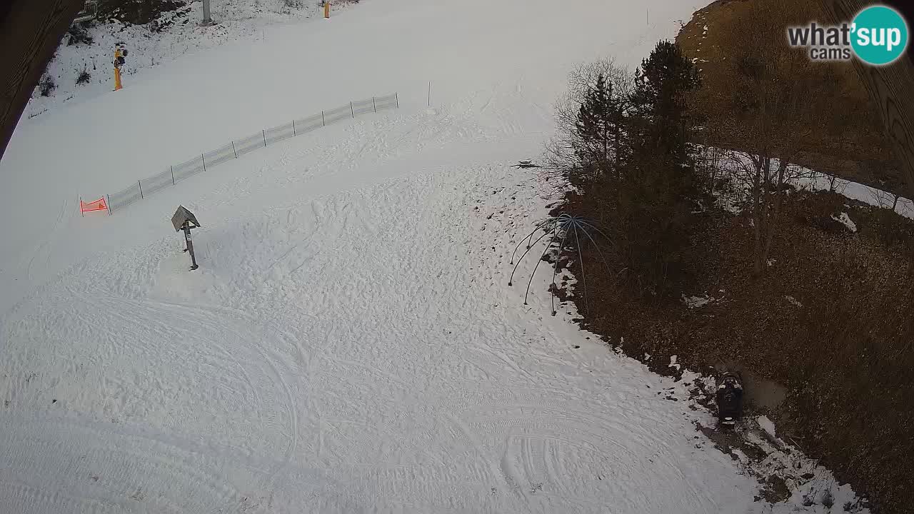 Stazione sciistica Zoncolan – Goles