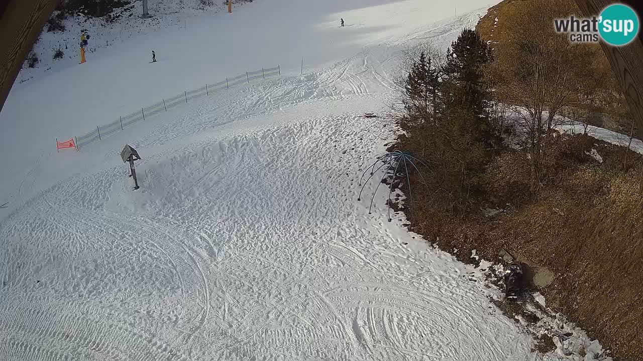 Skigebiet Zoncolan – Goles