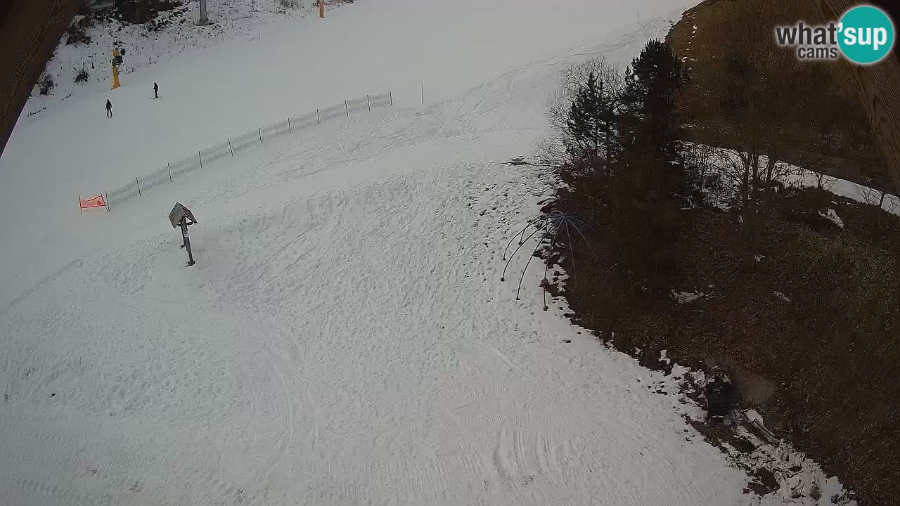 Station ski Zoncolan – Goles