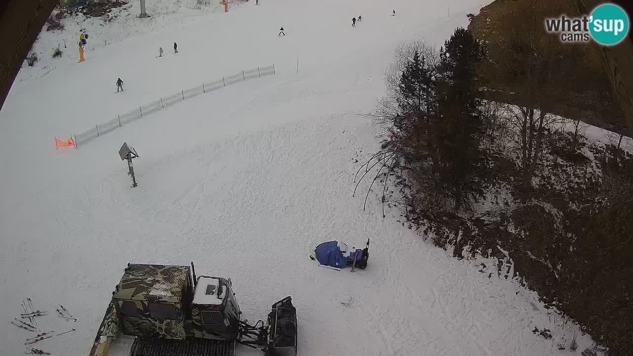 Estacion esqui Zoncolan – Goles