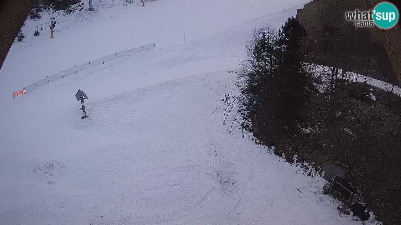 Estacion esqui Zoncolan – Goles