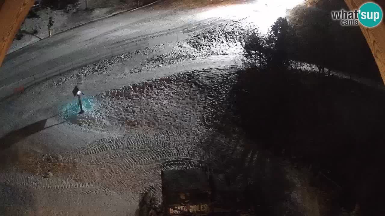 Estacion esqui Zoncolan – Goles