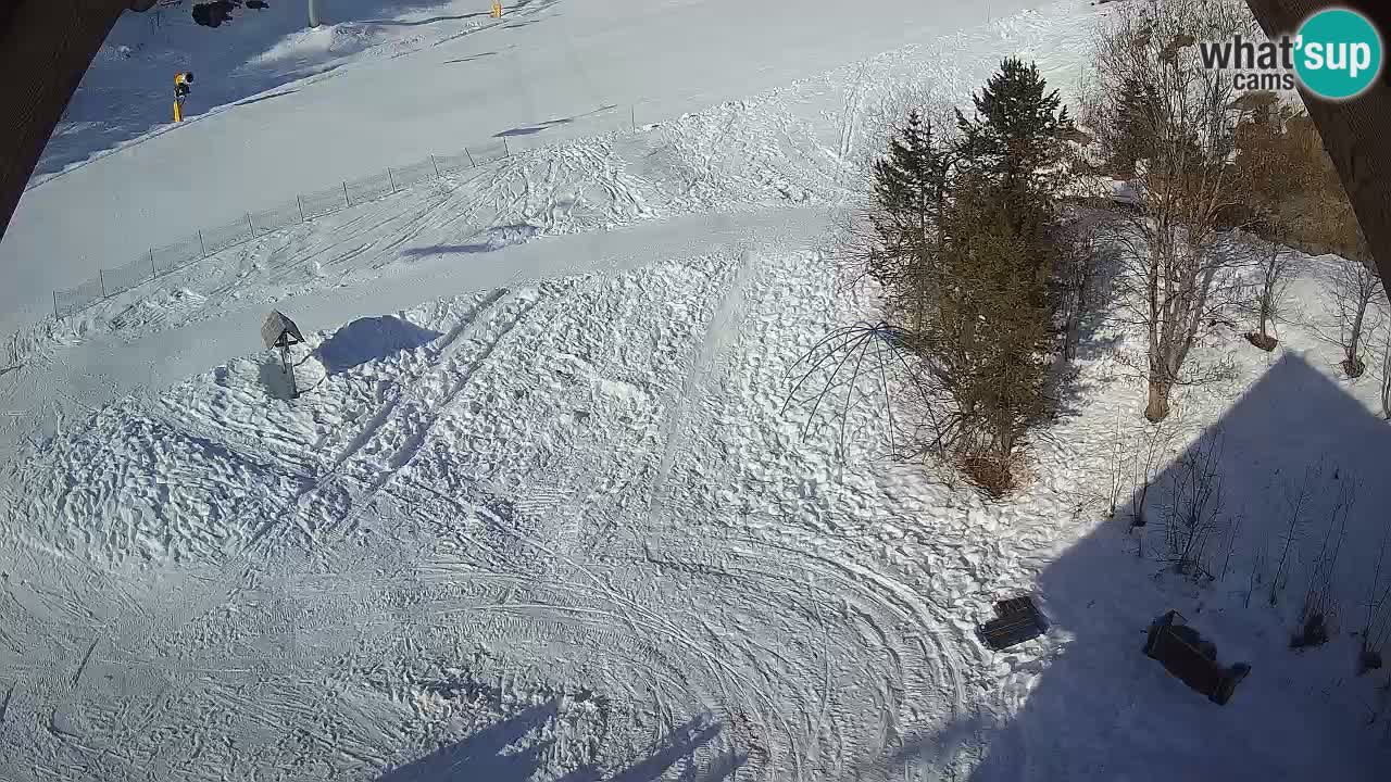 Ski resort Zoncolan mountain – Goles