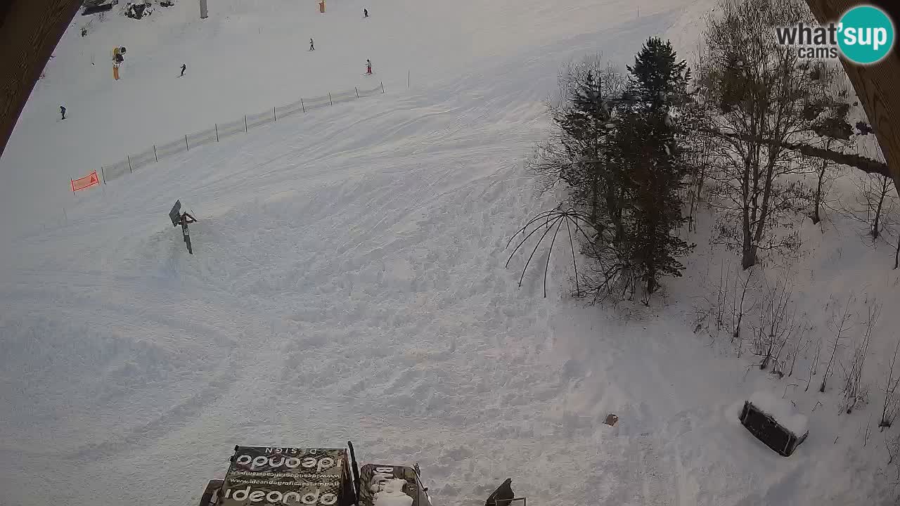 Stazione sciistica Zoncolan – Goles