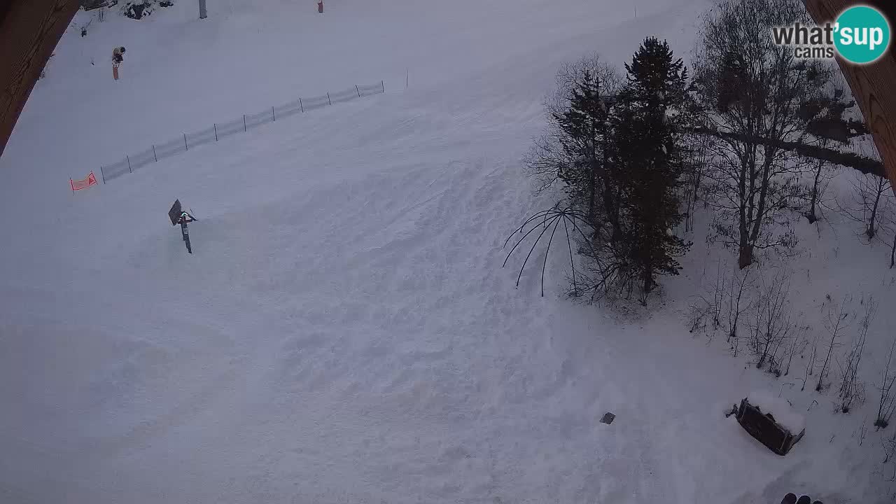 Smučišče Zoncolan – Goles