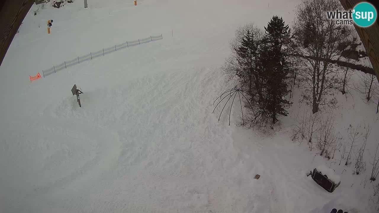 Skigebiet Zoncolan – Goles