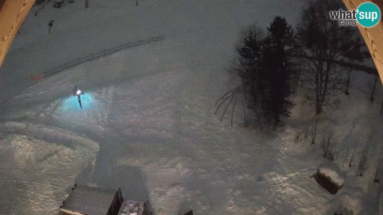 Station ski Zoncolan – Goles