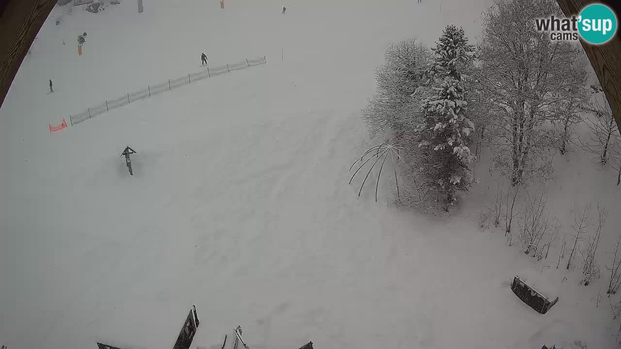 Ski resort Zoncolan mountain – Goles