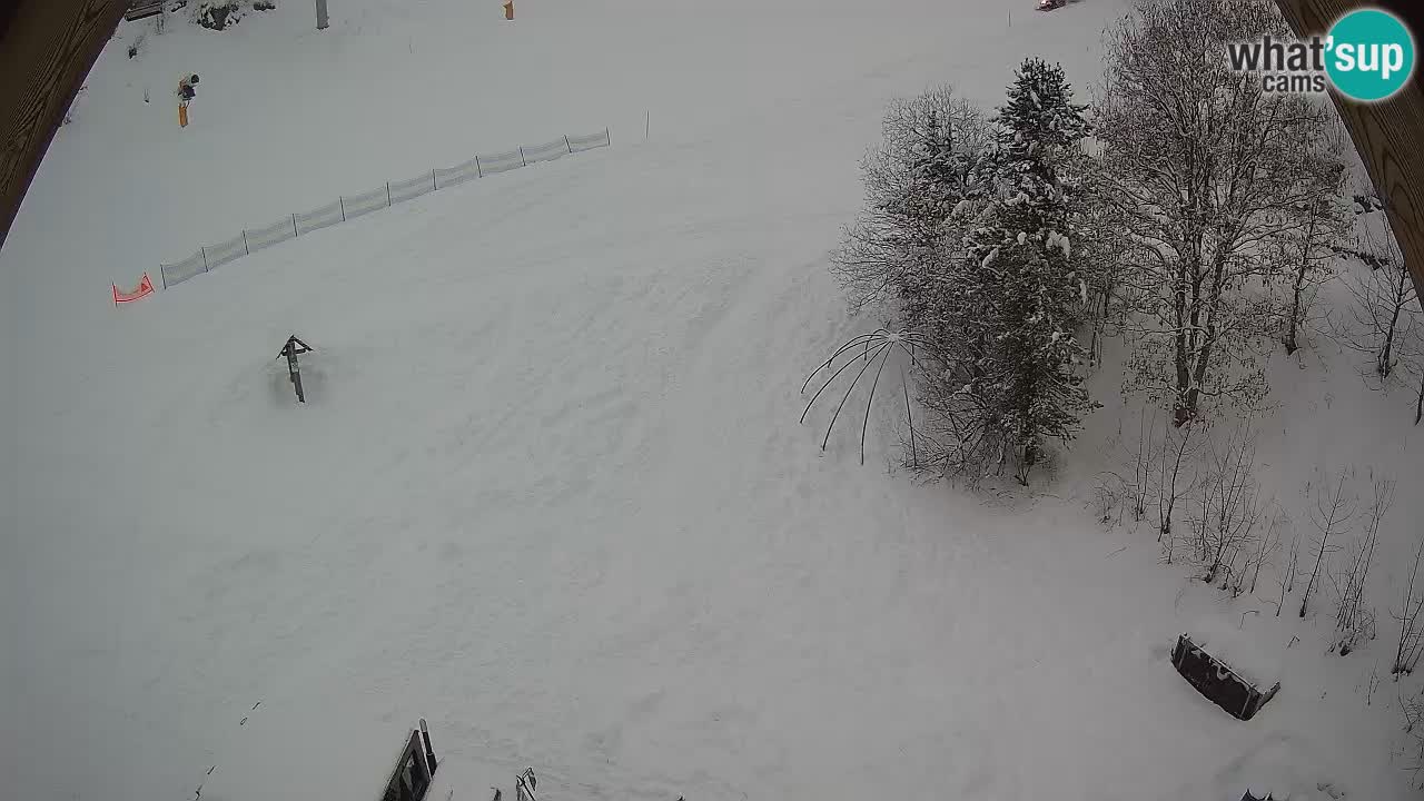 Estacion esqui Zoncolan – Goles