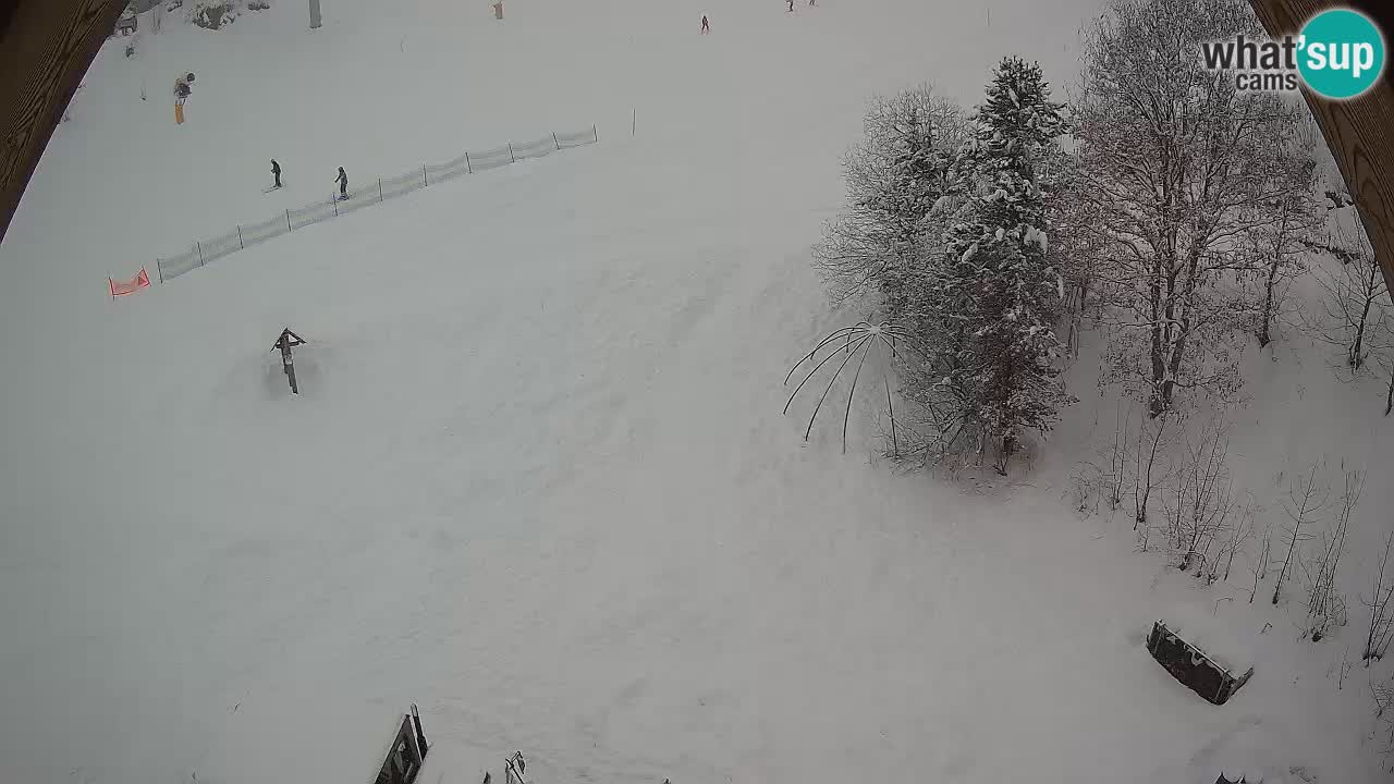 Estacion esqui Zoncolan – Goles