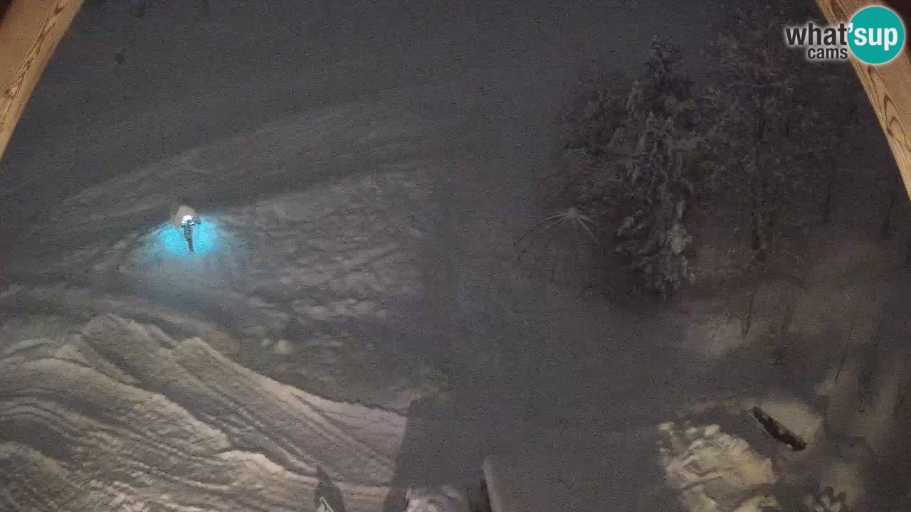 Ski resort Zoncolan mountain – Goles