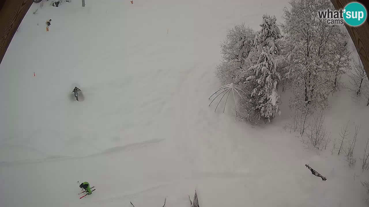 Skigebiet Zoncolan – Goles