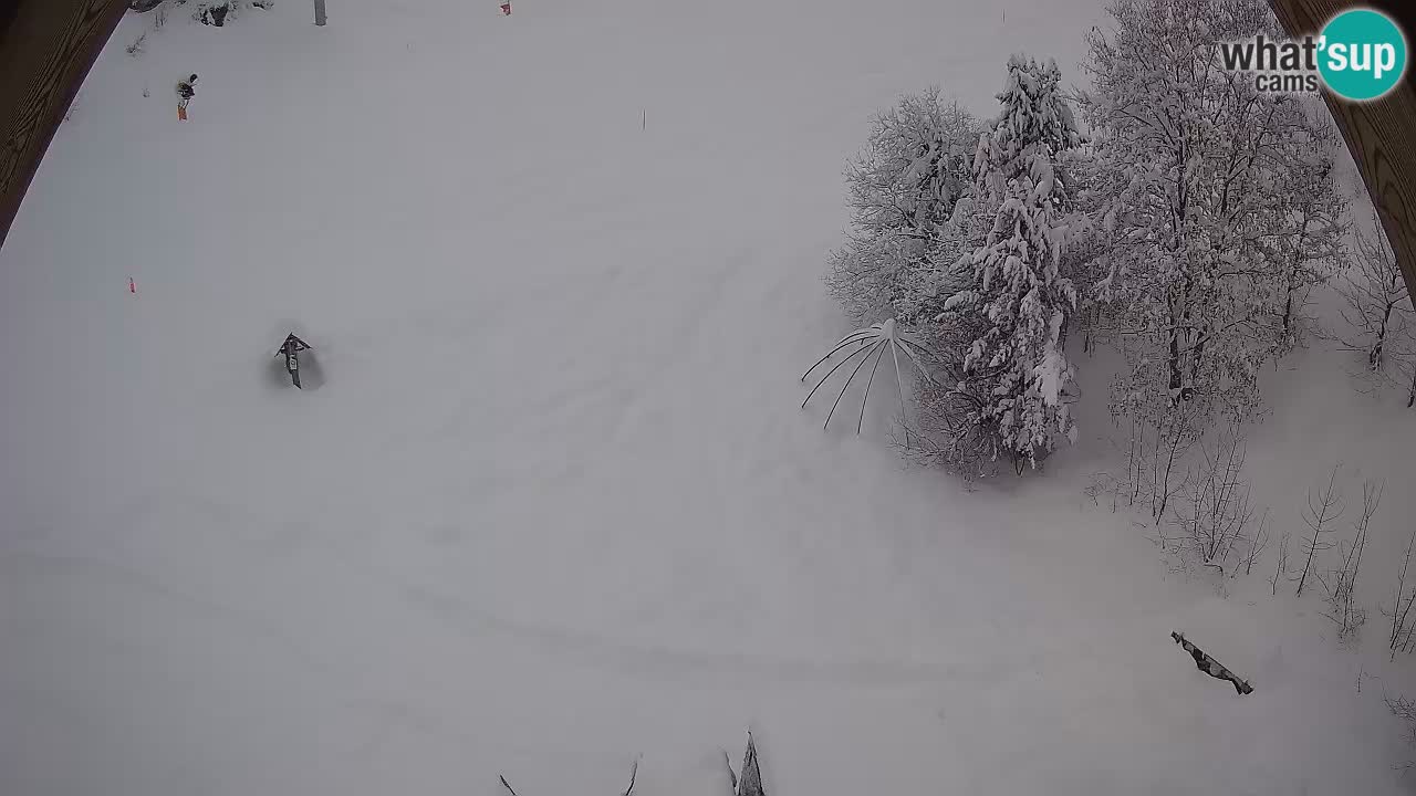 Estacion esqui Zoncolan – Goles