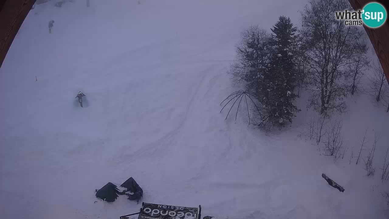 Station ski Zoncolan – Goles