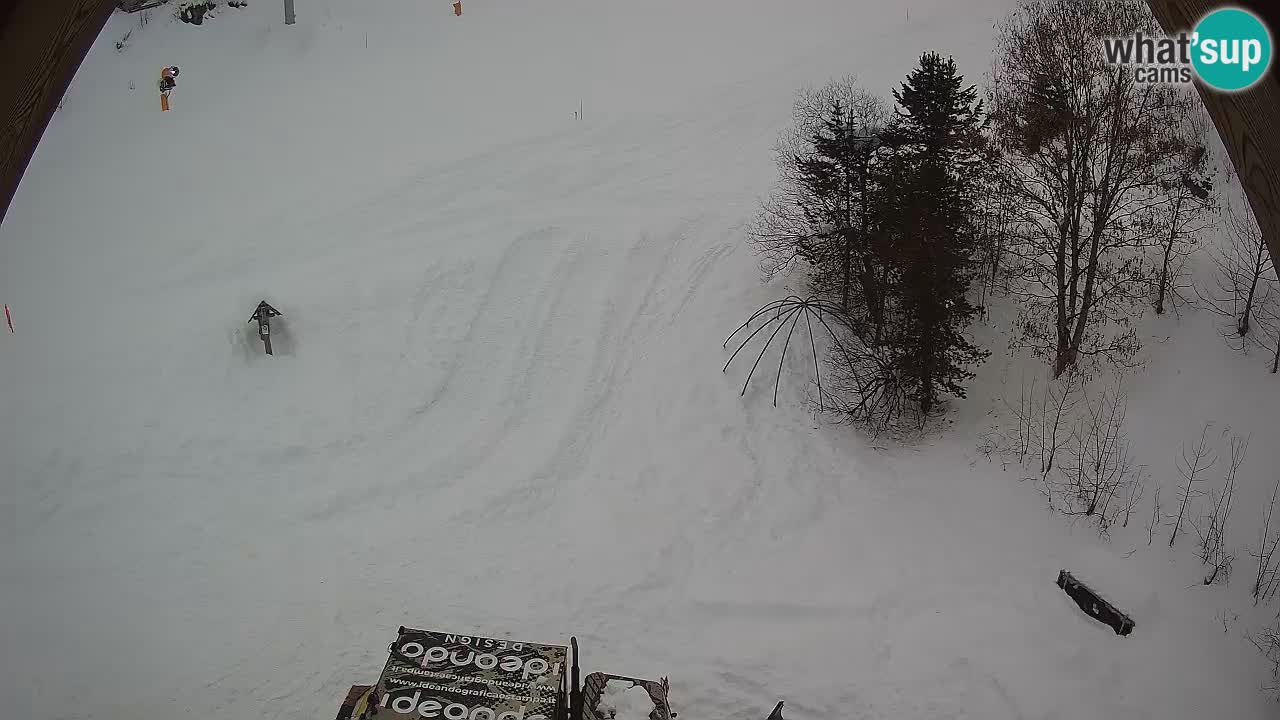 Smučišče Zoncolan – Goles