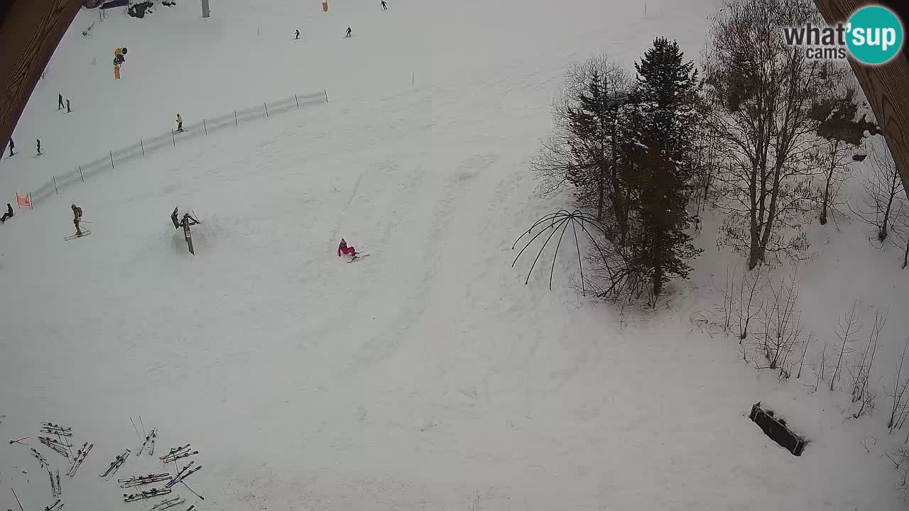 Estacion esqui Zoncolan – Goles