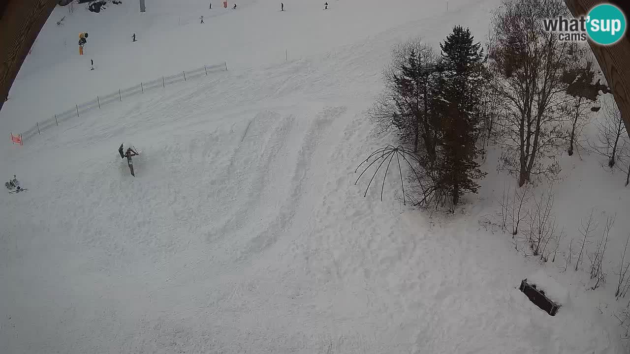 Skigebiet Zoncolan – Goles