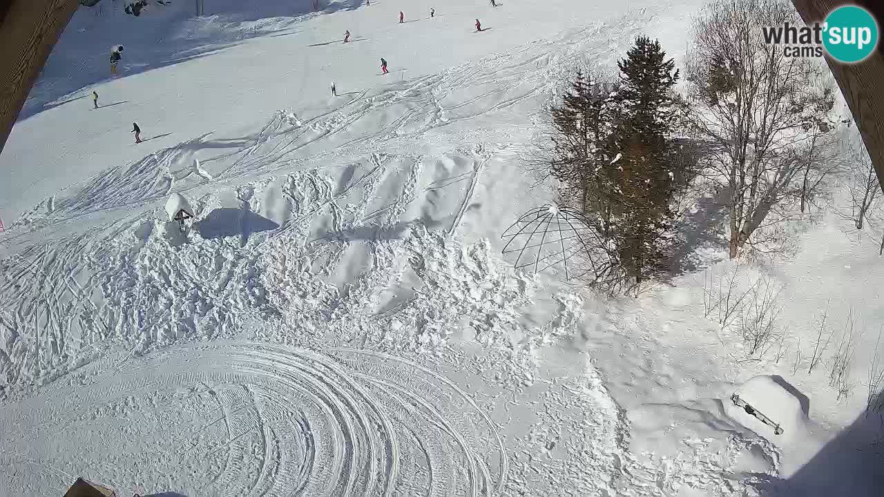 Ski resort Zoncolan mountain – Goles