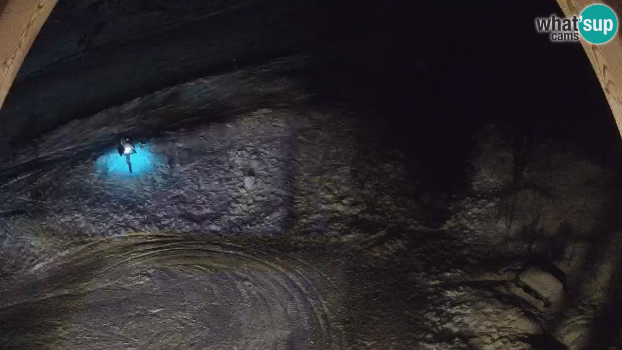 Smučišče Zoncolan – Goles