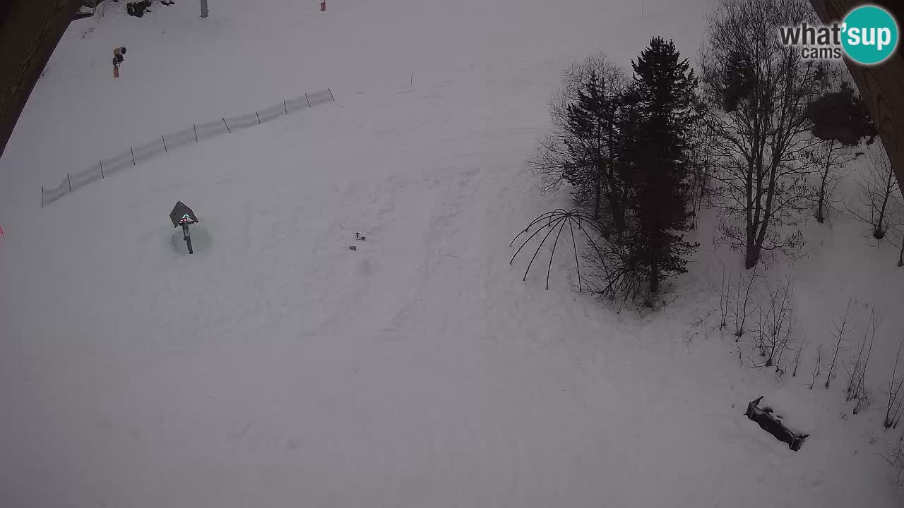 Ski resort Zoncolan mountain – Goles